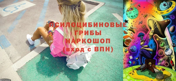 прущая мука Верхний Тагил